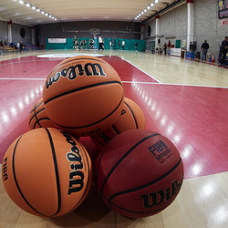 NICO BASKET FEMMINILE vs CESTISTICA SPEZZINA